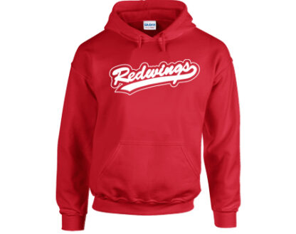 KIDS Hooded Sweatshirt  LOGO